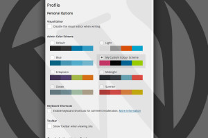 Thumbnail Add a custom admin colour scheme in WordPress 3.8